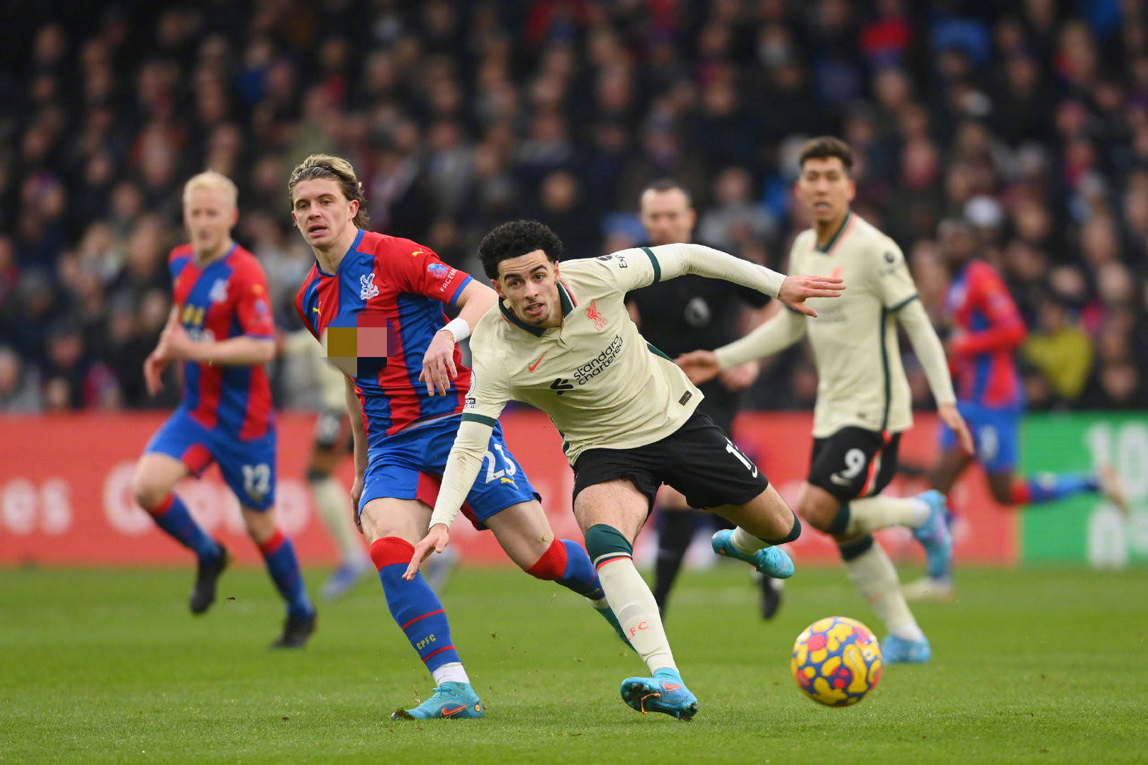 才的重视 才的重视