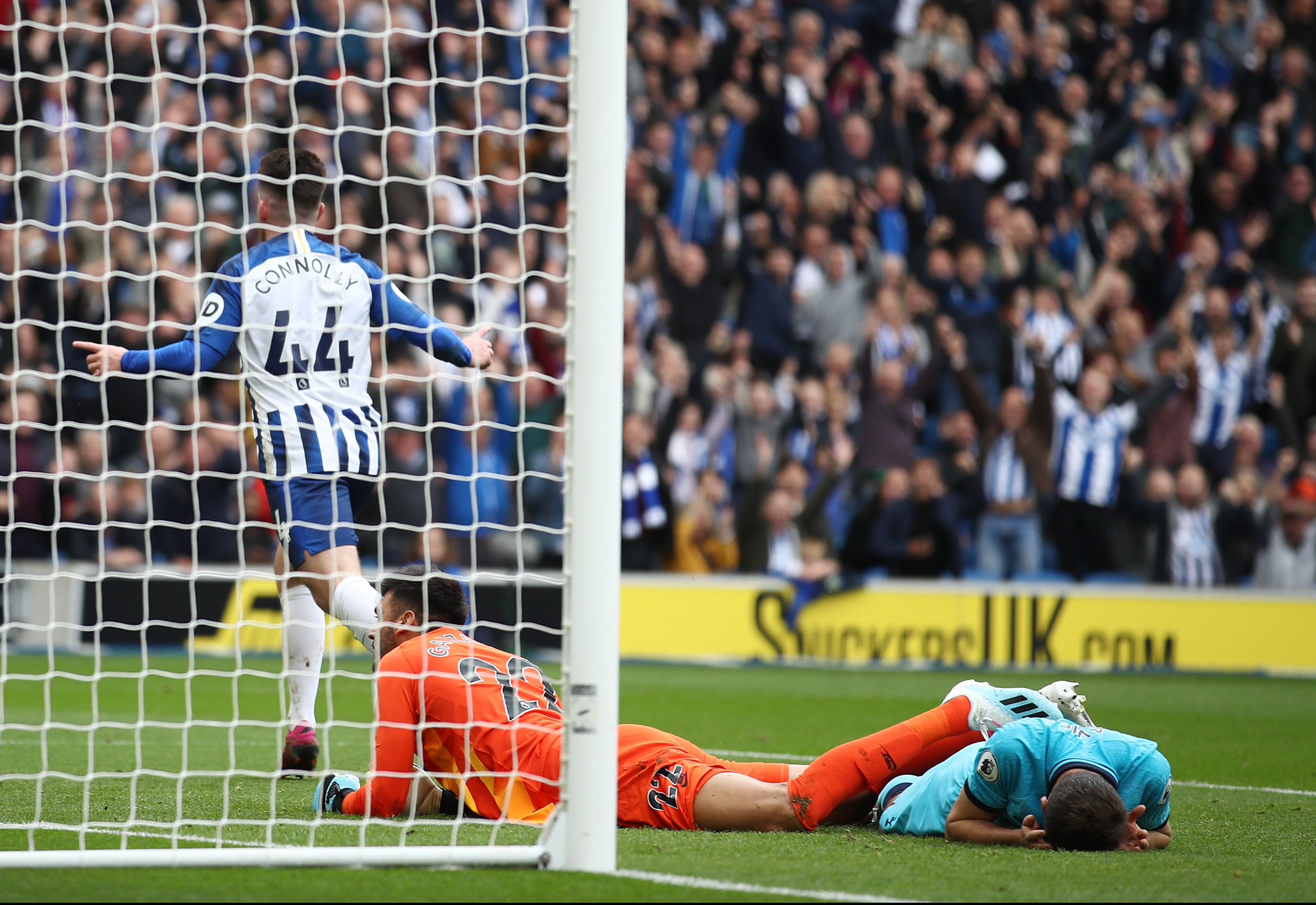 归抱有极大 归抱有极大